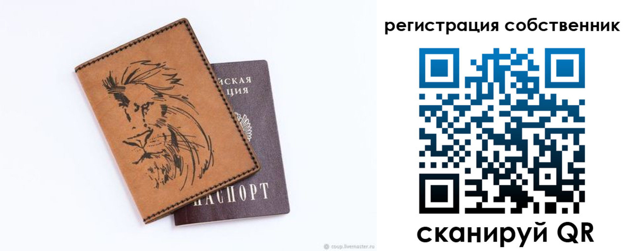 прописка паспорт в Александровске